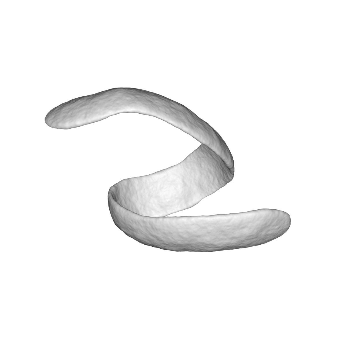 Lemon peel 05
